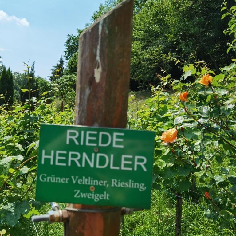 Privatzimmer Am Weinbrunnen Vorchdorf Extérieur photo