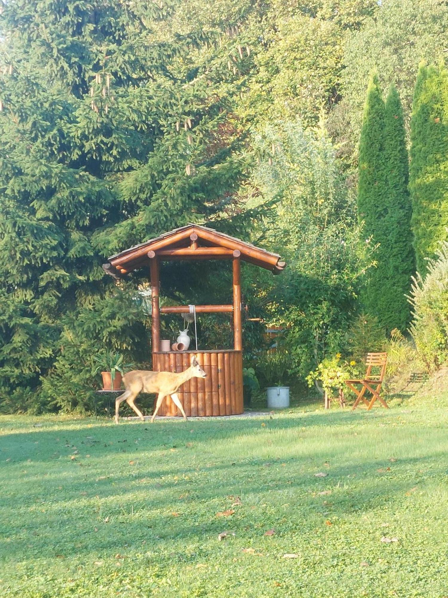 Privatzimmer Am Weinbrunnen Vorchdorf Extérieur photo
